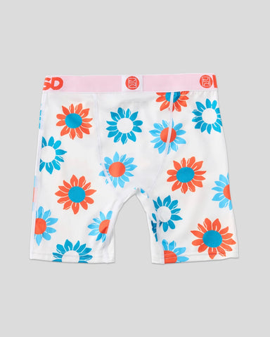 Fall Daisies