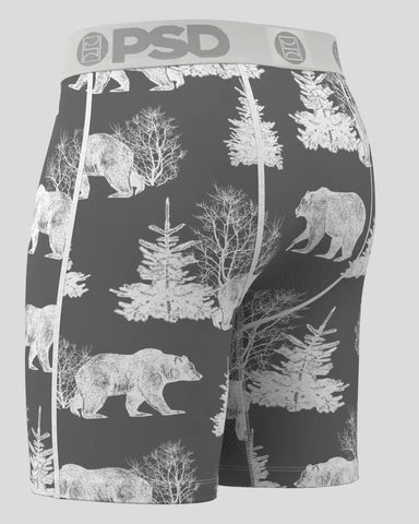 Bear Chill