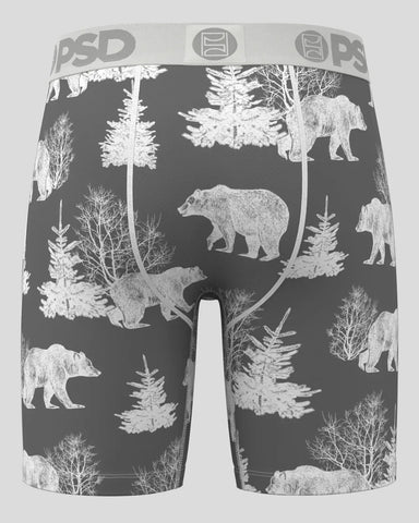 Bear Chill